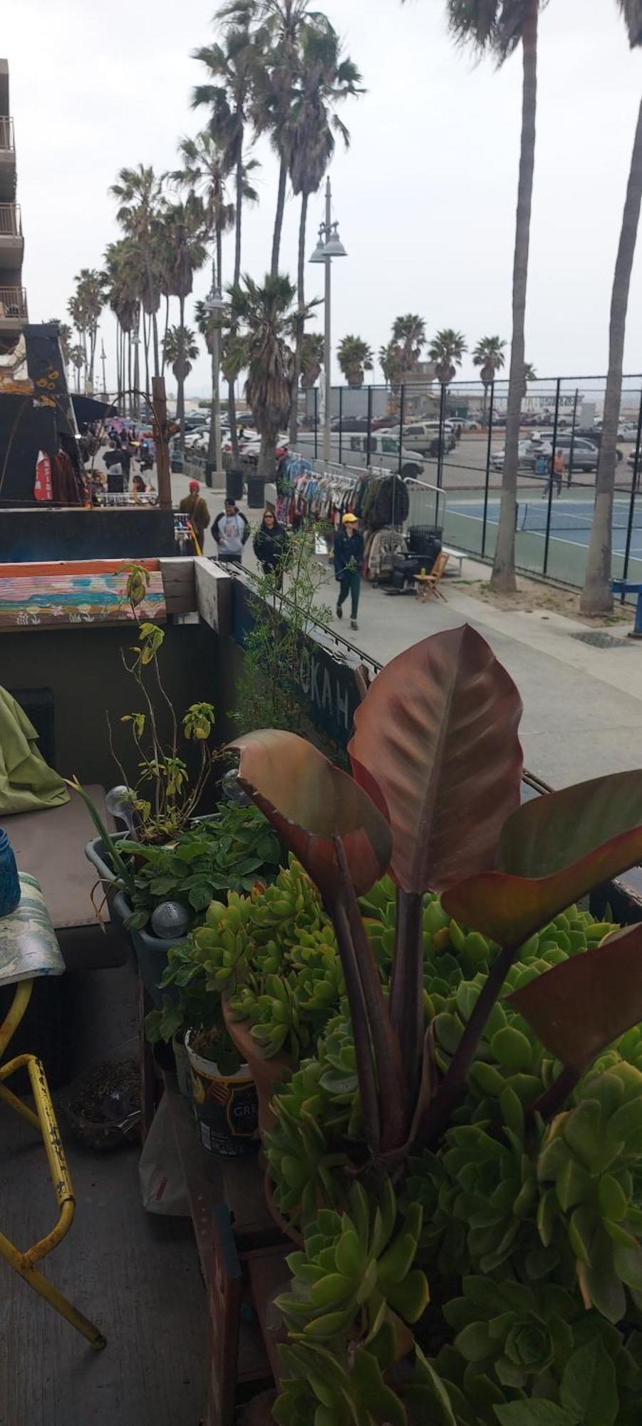 Ocean Front Vortex Female Hostel Private Rooms Free Bikes 로스앤젤레스 외부 사진
